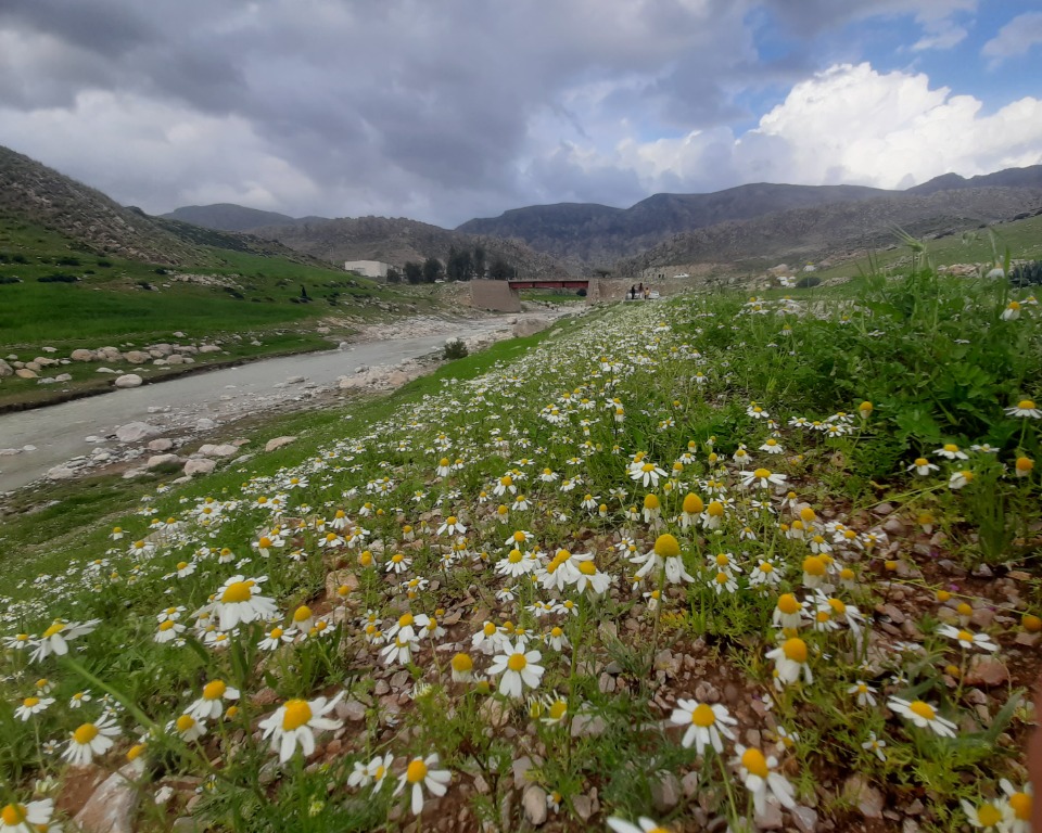 نمای روستا